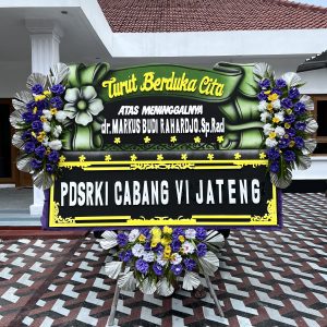 BP081